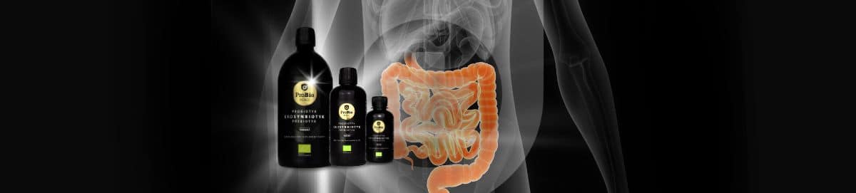 Probiotyki a problemy z jelitem grubym WZJG